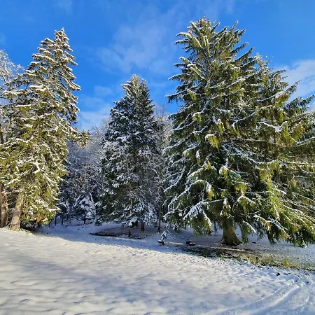 Vintage Racing Casa vacanze